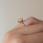 Load image into Gallery viewer, Petite Pavé Moissanite Ring