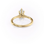 Load image into Gallery viewer, 1.0CT Pear Diamond Moissanite Pave Engagement Ring