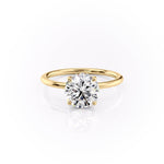 Load image into Gallery viewer, 2.5 CT Oval Cut Pave Ashley Moissanite Diamond Ring