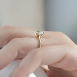 Load image into Gallery viewer, Stunning 2 CT Round Cut Moissanite Solitaire Ring in Unique Pave Setting