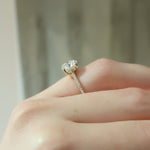 Load image into Gallery viewer, 2 CT Round Cut Classic Pave Setting Moissanite Diamond Ring